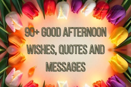 90+ Good Afternoon Wishes, Quotes and Messages