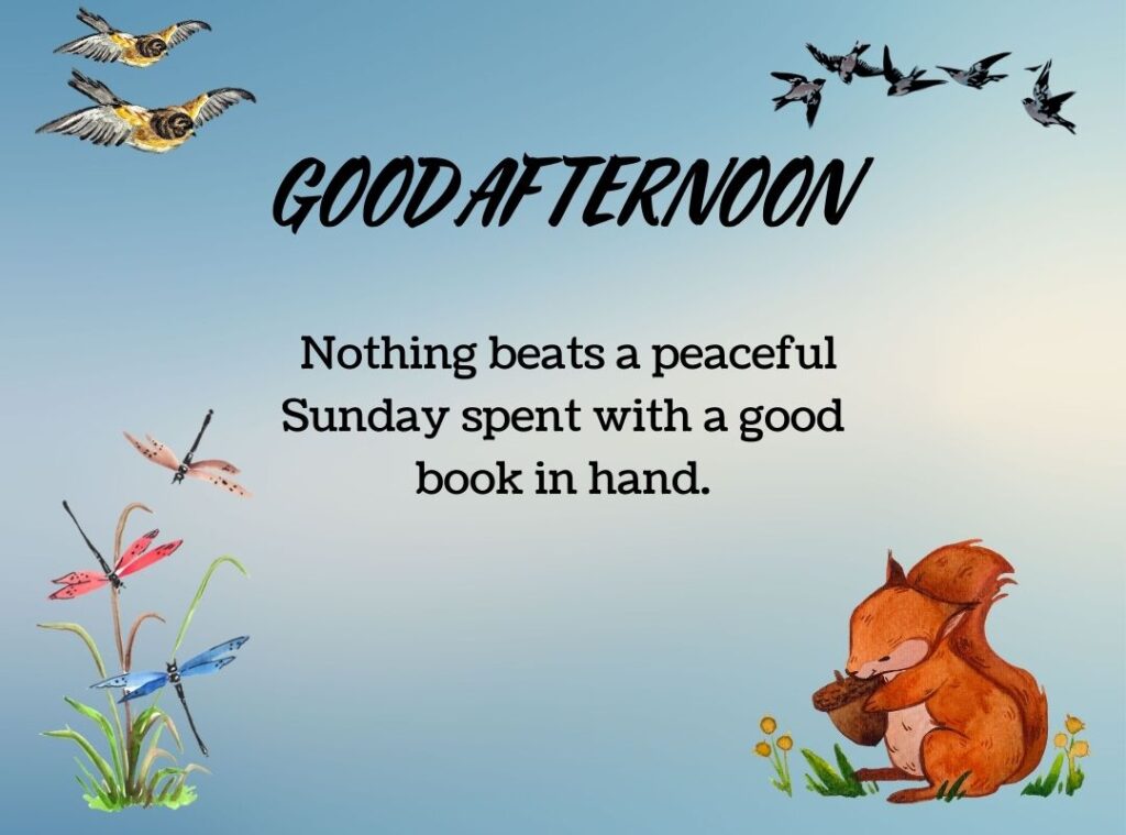 Everyday Blessings for the Afternoon