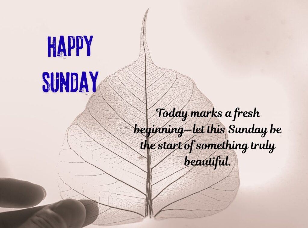 Thankful Sunday Blessings