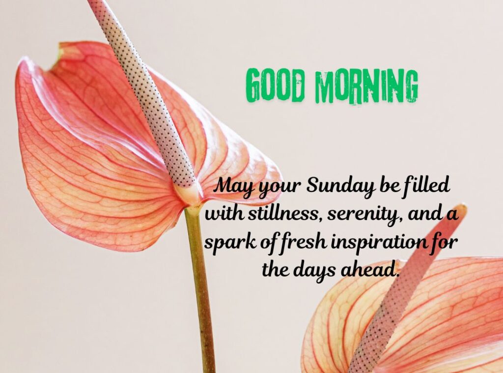 Positive Sunday Wishes and Blessings