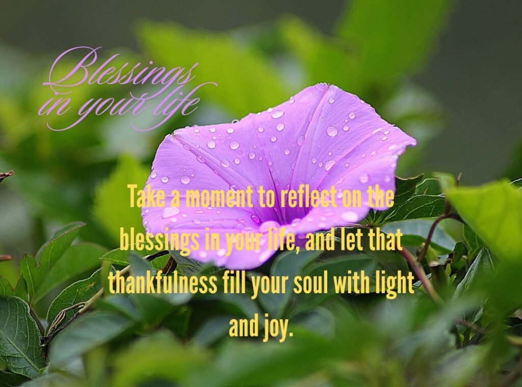 Thankful Thursday Blessings