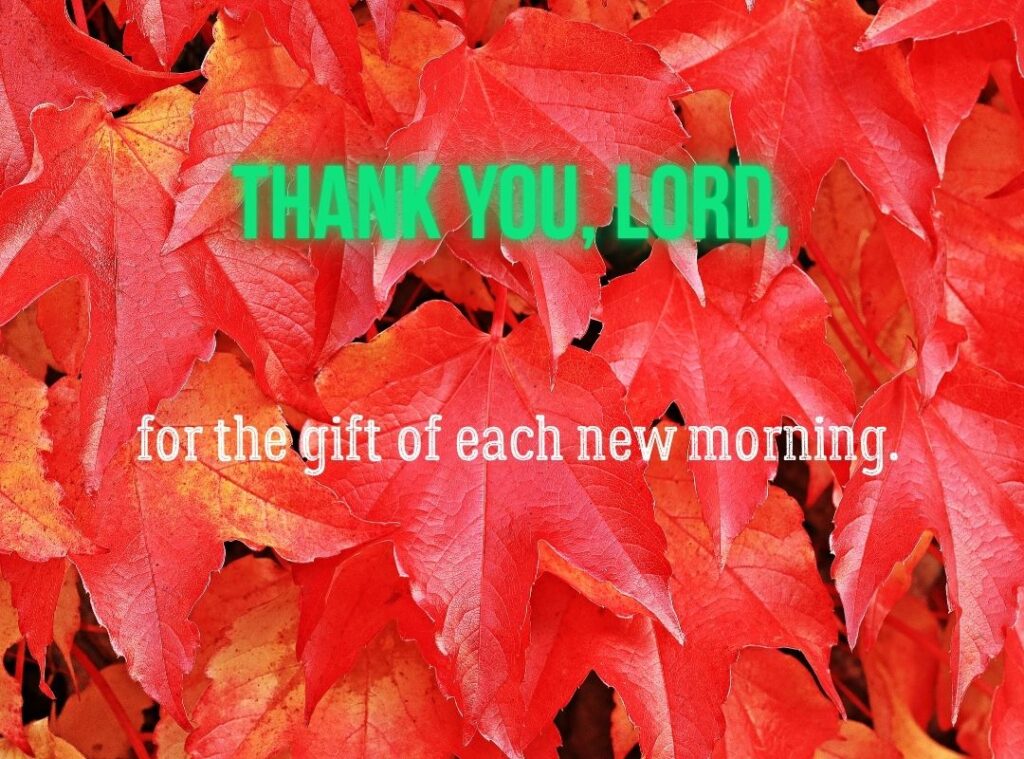 Gratitude for Life’s Blessings