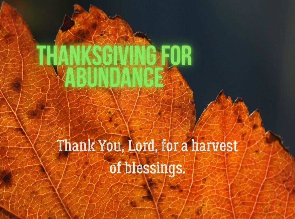 Thanksgiving for Abundance