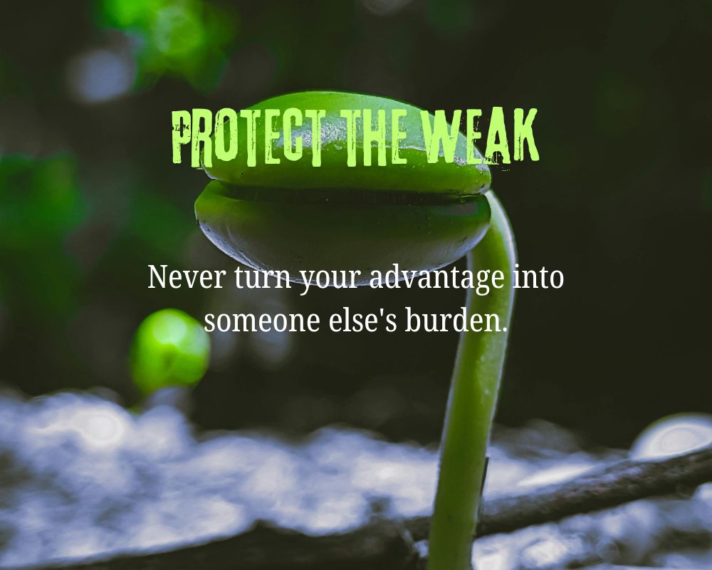 Protect the Weak and Vulnerable