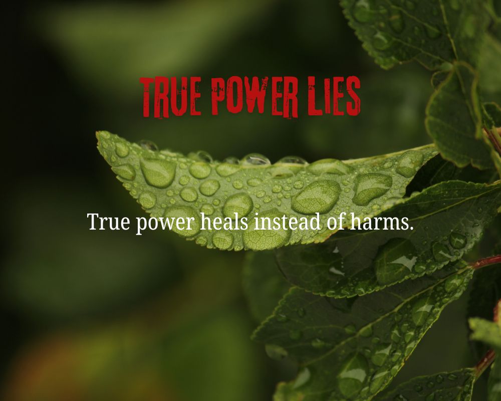 True Power Lies in Compassion