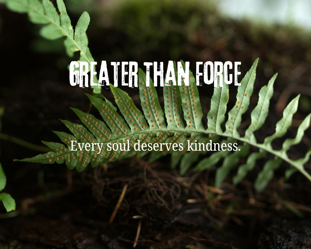 Kindness Is Greater Than Force
