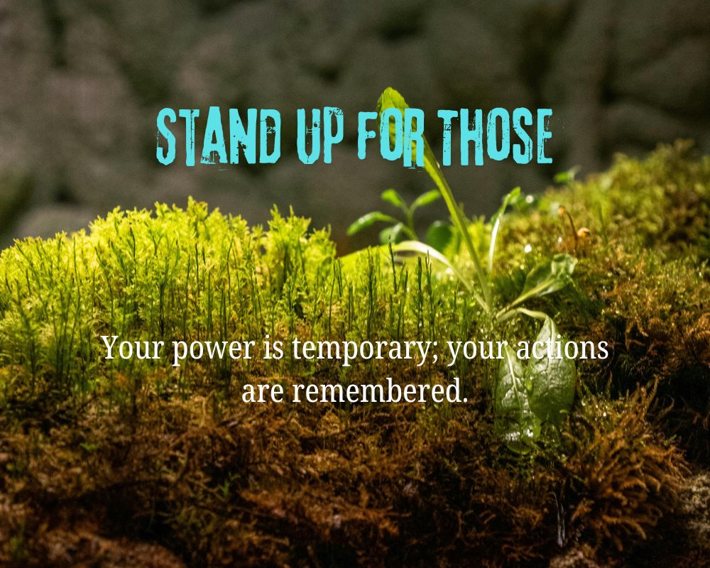 Stand Up for Those Without a Voice